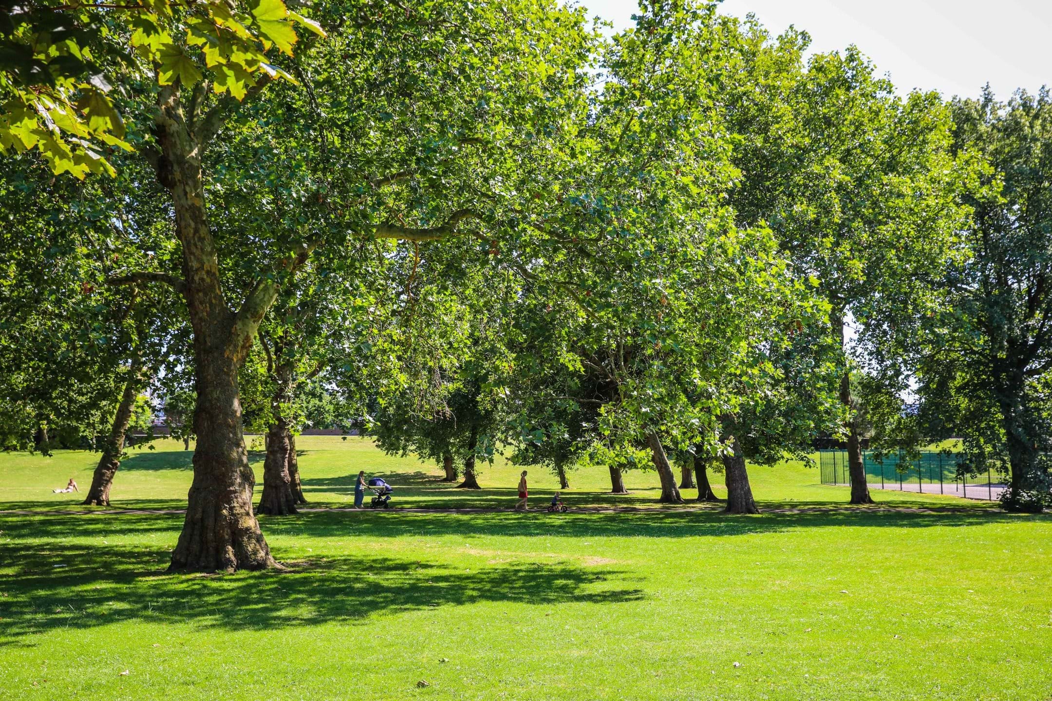Greenwich affords you the luxury of great green spaces and leisure facilities
